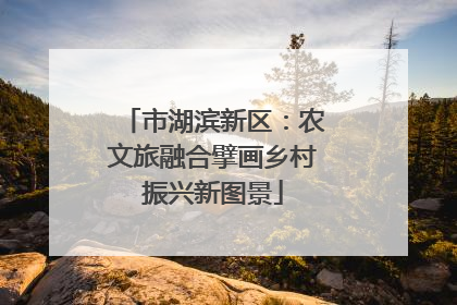 市湖滨新区：农文旅融合擘画乡村振兴新图景