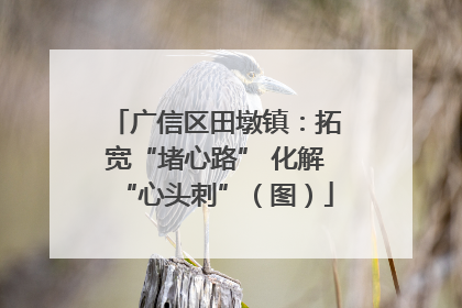广信区田墩镇：拓宽“堵心路” 化解“心头刺”（图）