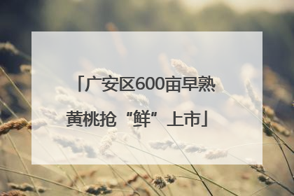 广安区600亩早熟黄桃抢“鲜”上市