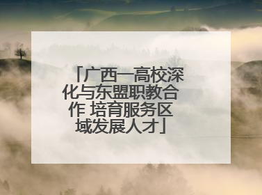 广西一高校深化与东盟职教合作 培育服务区域发展人才