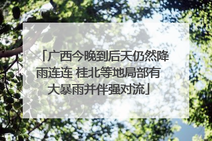 广西今晚到后天仍然降雨连连 桂北等地局部有大暴雨并伴强对流
