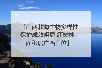 广西北海生物多样性保护成效明显 红树林面积居广西首位