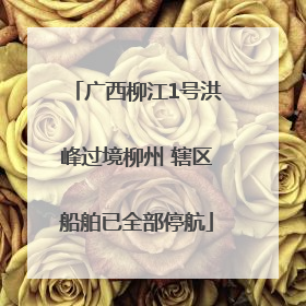 广西柳江1号洪峰过境柳州 辖区船舶已全部停航