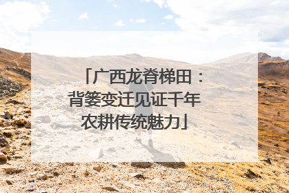 广西龙脊梯田：背篓变迁见证千年农耕传统魅力
