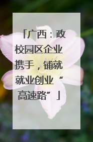 广西：政校园区企业携手，铺就就业创业“高速路”