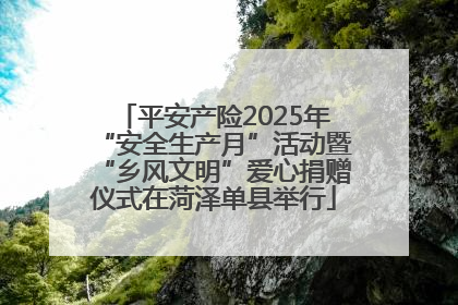 平安产险2025年“安全生产月”活动暨“乡风文明”爱心捐赠仪式在菏泽单县举行