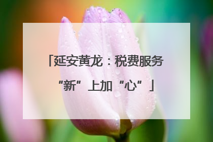 延安黄龙：税费服务“新”上加“心”