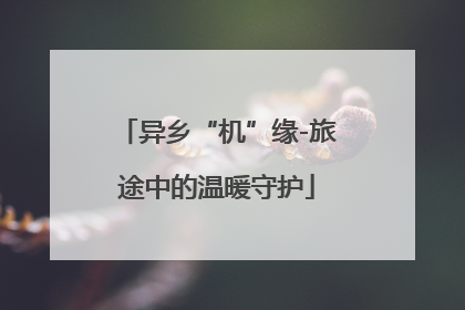 异乡“机”缘-旅途中的温暖守护