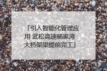 引入智能化管理应用 武松高速杨家湾大桥架梁提前完工