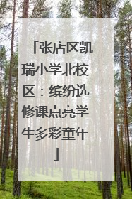张店区凯瑞小学北校区：缤纷选修课点亮学生多彩童年