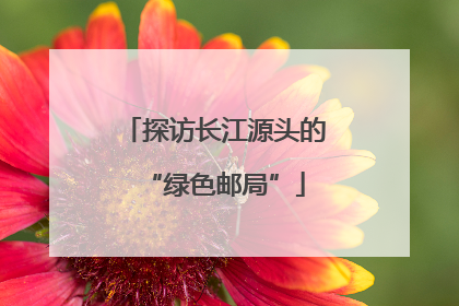 探访长江源头的“绿色邮局”
