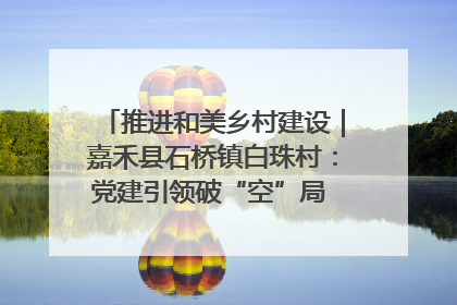 推进和美乡村建设｜嘉禾县石桥镇白珠村：党建引领破“空”局 乡贤聚力绘就新图景