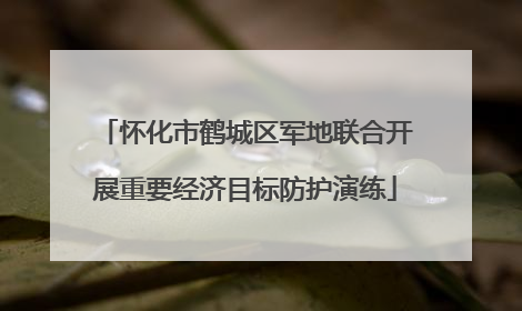 怀化市鹤城区军地联合开展重要经济目标防护演练