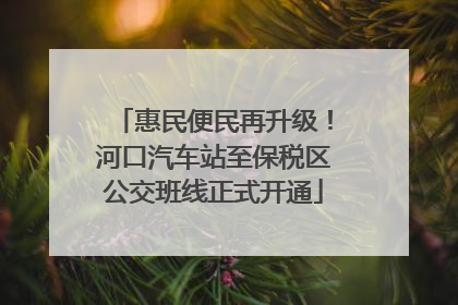 惠民便民再升级！河口汽车站至保税区公交班线正式开通