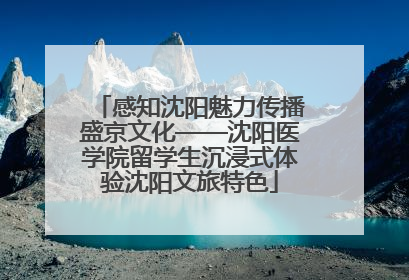 感知沈阳魅力传播盛京文化——沈阳医学院留学生沉浸式体验沈阳文旅特色