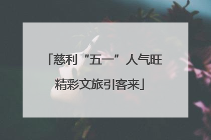 慈利“五一”人气旺 精彩文旅引客来