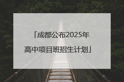 成都公布2025年高中项目班招生计划