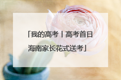 我的高考丨高考首日 海南家长花式送考