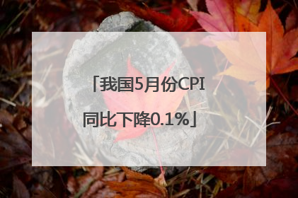我国5月份CPI同比下降0.1%