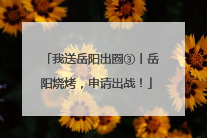 我送岳阳出圈③丨岳阳烧烤，申请出战！