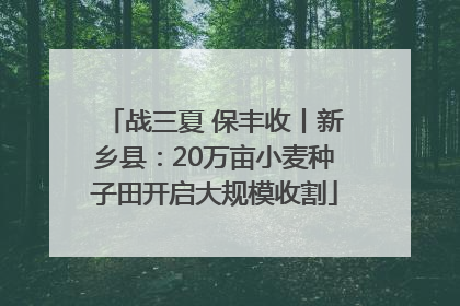 战三夏 保丰收丨新乡县：20万亩小麦种子田开启大规模收割