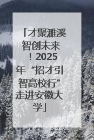 才聚濉溪 智创未来！2025年“招才引智高校行”走进安徽大学
