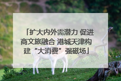 扩大内外需潜力 促进商文旅融合 港城天津构建“大消费”强磁场
