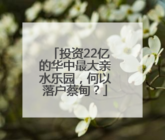 投资22亿的华中最大亲水乐园，何以落户蔡甸？