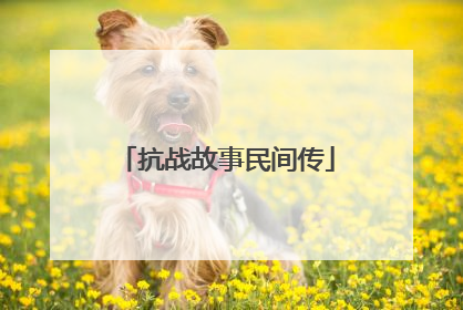 抗战故事民间传