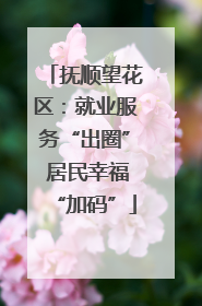 抚顺望花区：就业服务“出圈” 居民幸福“加码”