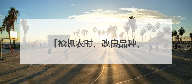 抢抓农时、改良品种、绿色灭虫 全国多地争分夺秒确保夏粮丰收