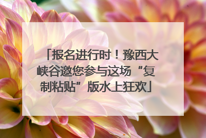 报名进行时！豫西大峡谷邀您参与这场“复制粘贴”版水上狂欢