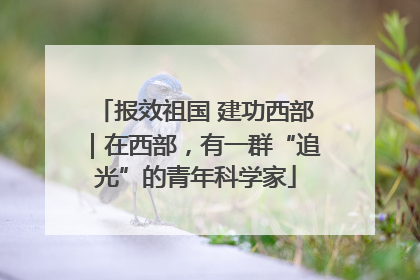 报效祖国 建功西部｜在西部，有一群“追光”的青年科学家
