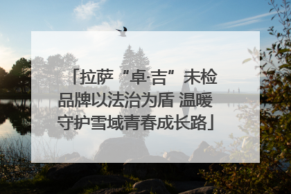 拉萨“卓·吉”未检品牌以法治为盾 温暖守护雪域青春成长路