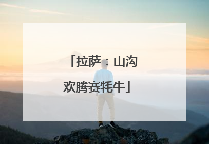 拉萨：山沟欢腾赛牦牛