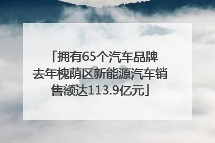 拥有65个汽车品牌 去年槐荫区新能源汽车销售额达113.9亿元