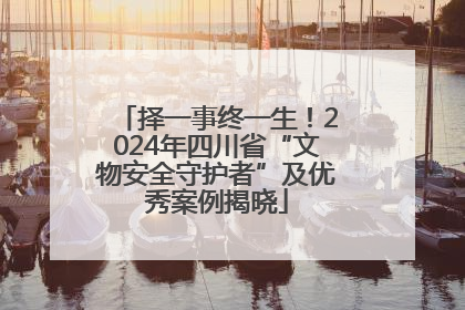 择一事终一生！2024年四川省“文物安全守护者”及优秀案例揭晓