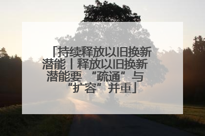 持续释放以旧换新潜能丨释放以旧换新潜能要 “疏通”与“扩容”并重