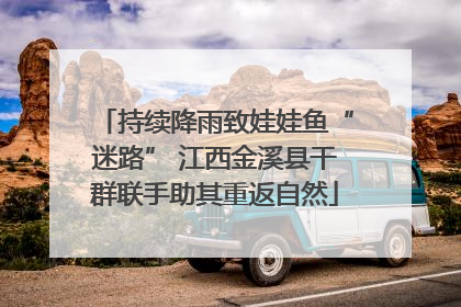 持续降雨致娃娃鱼“迷路” 江西金溪县干群联手助其重返自然