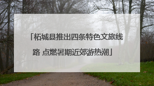 柘城县推出四条特色文旅线路 点燃暑期近郊游热潮