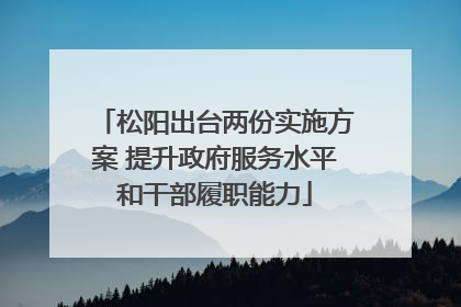 松阳出台两份实施方案 提升政府服务水平和干部履职能力