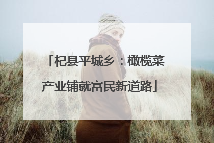杞县平城乡：橄榄菜产业铺就富民新道路