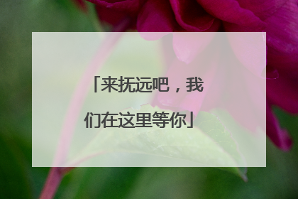 来抚远吧，我们在这里等你