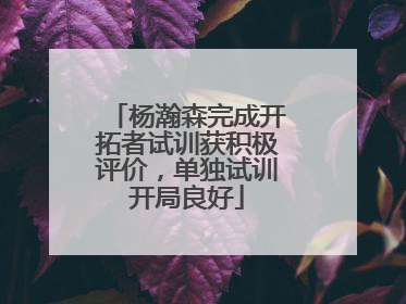 杨瀚森完成开拓者试训获积极评价，单独试训开局良好