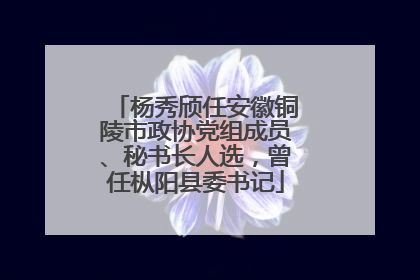 杨秀颀任安徽铜陵市政协党组成员、秘书长人选，曾任枞阳县委书记