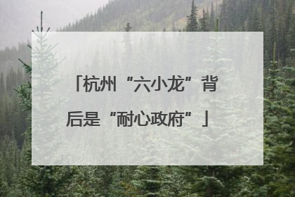 杭州“六小龙”背后是“耐心政府”
