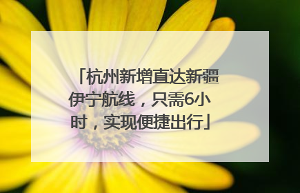 杭州新增直达新疆伊宁航线，只需6小时，实现便捷出行