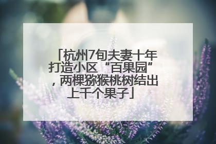 杭州7旬夫妻十年打造小区“百果园”，两棵猕猴桃树结出上千个果子