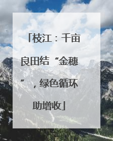枝江：千亩良田结“金穗”，绿色循环助增收
