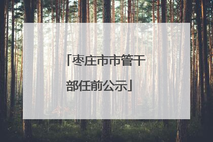 枣庄市市管干部任前公示
